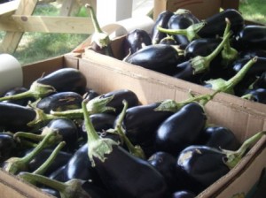 Two boxes of eggplant