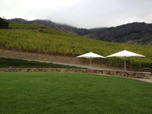Shafer Vineyards