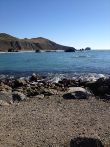 Pacific Shoreline