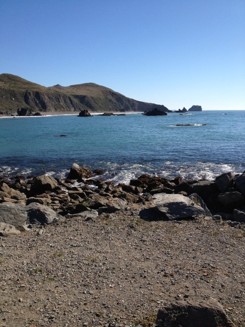 Pacific Shoreline Pacific Shoreline