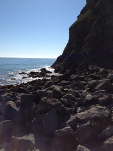 Rocky Pacific Shoreline